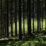 In Ardennes With Scenic Terrace