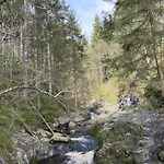 In Ardennes With Scenic Terrace