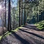 펜션 In Ardennes With Scenic Terrace