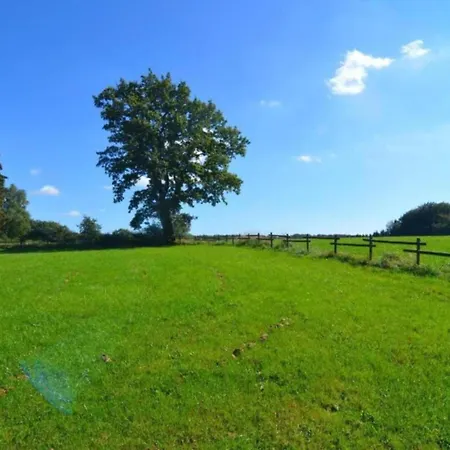 In Ardennes With Scenic Terrace Tatil Evi