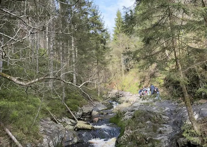 In Ardennes With Scenic Terrace